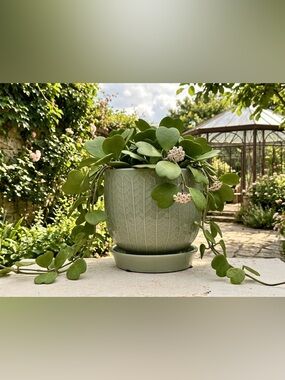 Sage Green Ceramic Planter with Saucer - 5.5 Inch Textured Indoor Plant Pot